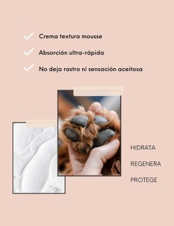 MASCO BEAUTY CREMA ALMOHADILLAS DOG OBSESSION GUAU AND CAT - 2