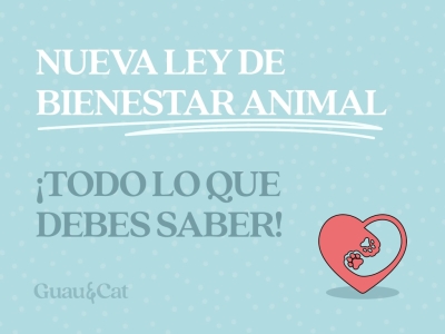 Nueva Ley de Bienestar Animal