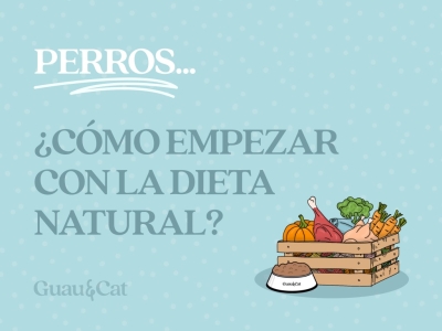 Cómo empezar con la dieta natural para  perros