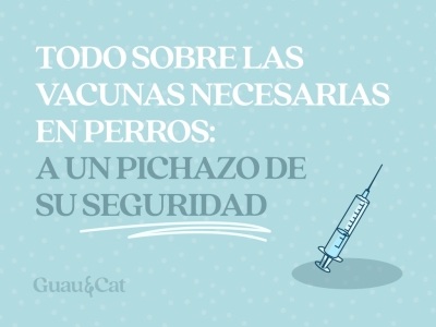 Todo sobre las vacunas necesarias en perros: a un pinchazo de su  seguridad