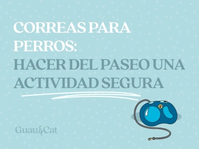 Correas para perros: hacer del paseo una actividad segura