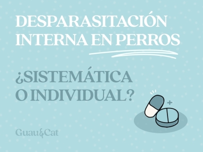 Desparasitación interna en perros: ¿Sistemática o Individualizada?